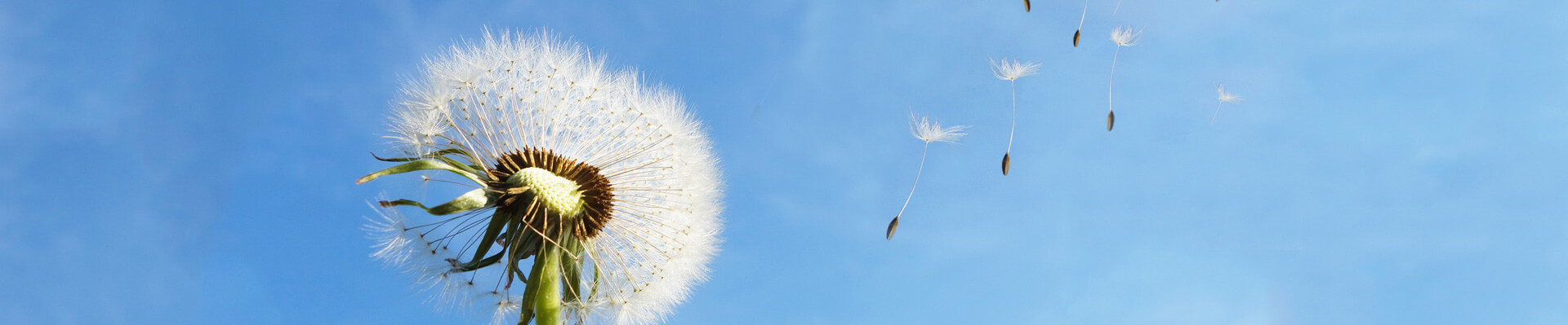 林州5001拉斯维加斯,拉斯维加斯集团股份有限公司