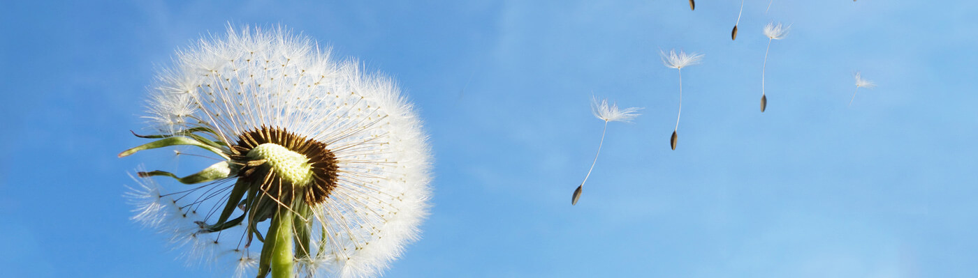 林州5001拉斯维加斯,拉斯维加斯集团股份有限公司